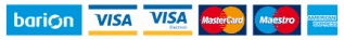 Barion-es-visa-logo