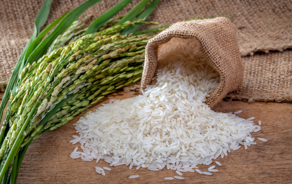 rizsfőzés - jázmin rizs